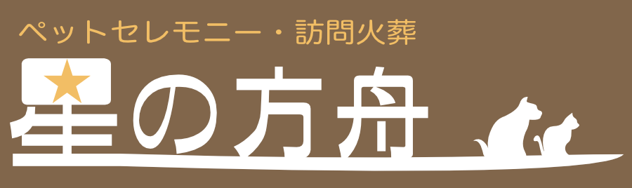 星の方舟ロゴマーク