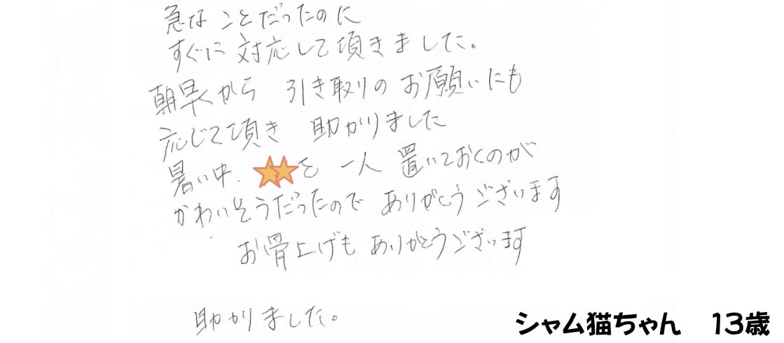 ご家族様の声
