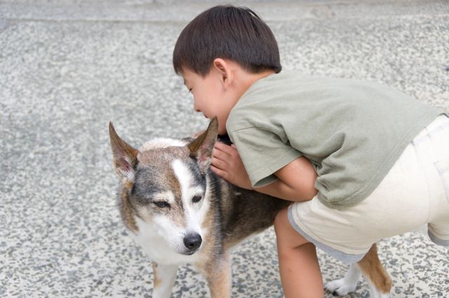 ペットちゃんが死んだらどうする？火葬の種類や供養の仕方、飼い主抹消手続きまで