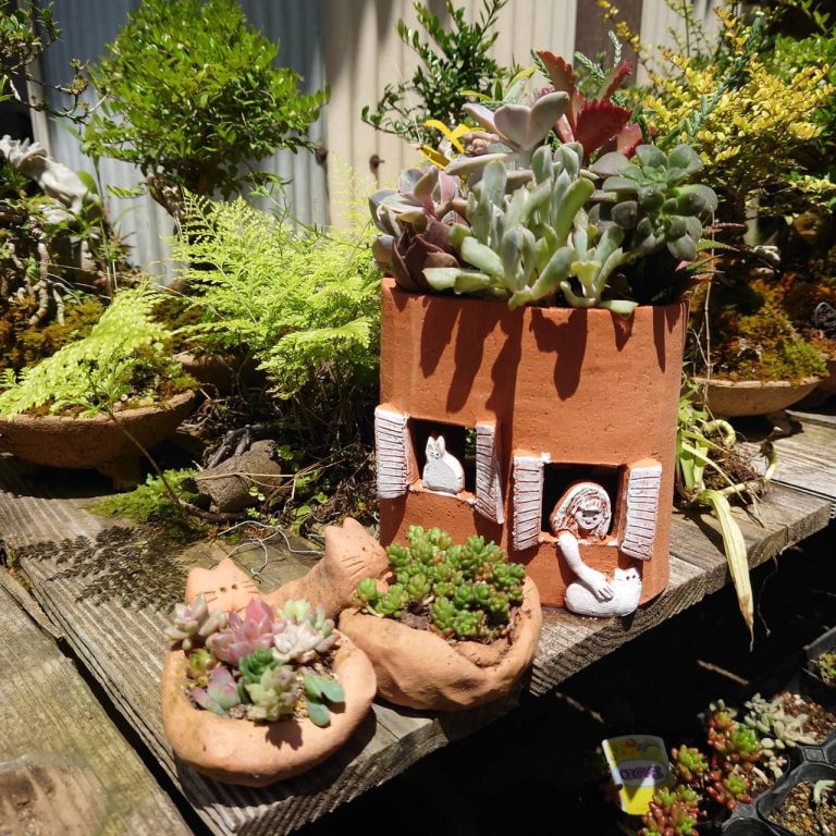 ペットちゃんの植木鉢葬